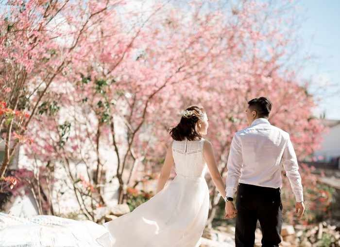 Nhiều cặp đôi thích chụp ảnh dưới các tán cây hoa đỗ mai lãng mạn
