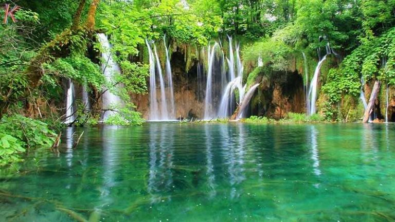 Cẩm Nang Khi Đi Du Lịch Suối Đá Vũng Tàu Mới Nhất