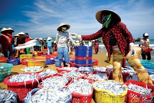 Chợ là nơi du khách có thể mua đa dạng các loại hải sản với giá cả phải chăng.