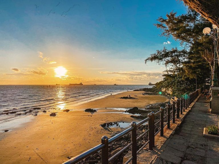 Bãi Dâu Vũng Tàu: Địa Điểm Du Lịch Hoang Sơ, Quyến Rũ Cho Trải Nghiệm Tuyệt Vời