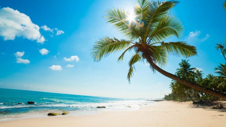 Bãi Rạng Mũi Né: Địa Điểm Check-In Nổi Tiếng Thu Hút Giới Trẻ