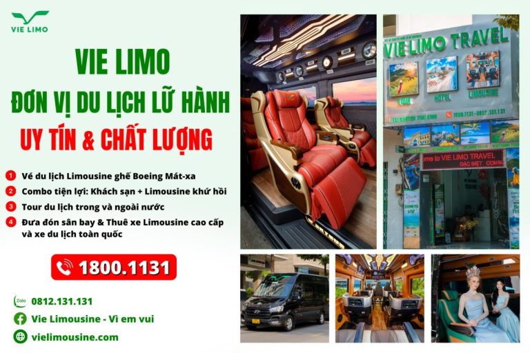 Top Lý Do Nên Chọn Combo Khách Sạn Trọn Gói Khi Du Lịch Vũng Tàu