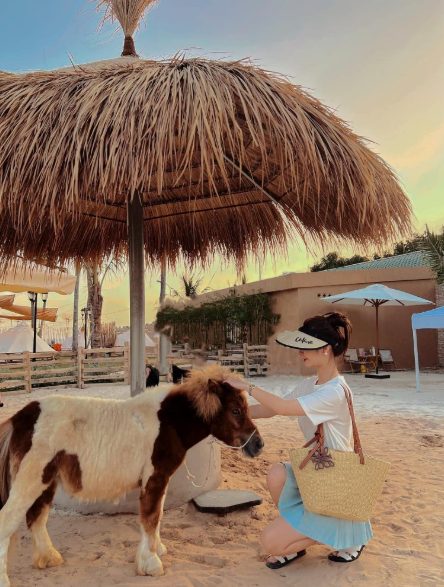 Vườn thú mini độc đáo tại Hanna Beach
