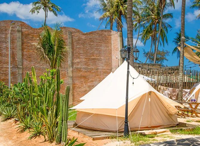 Camping dưới rặng dừa xanh mát