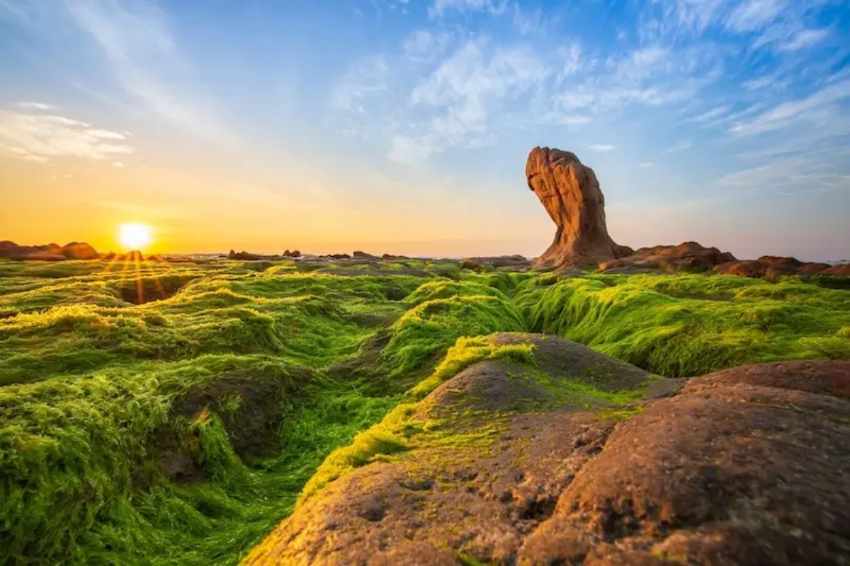 bãi Biển Cổ Thạch