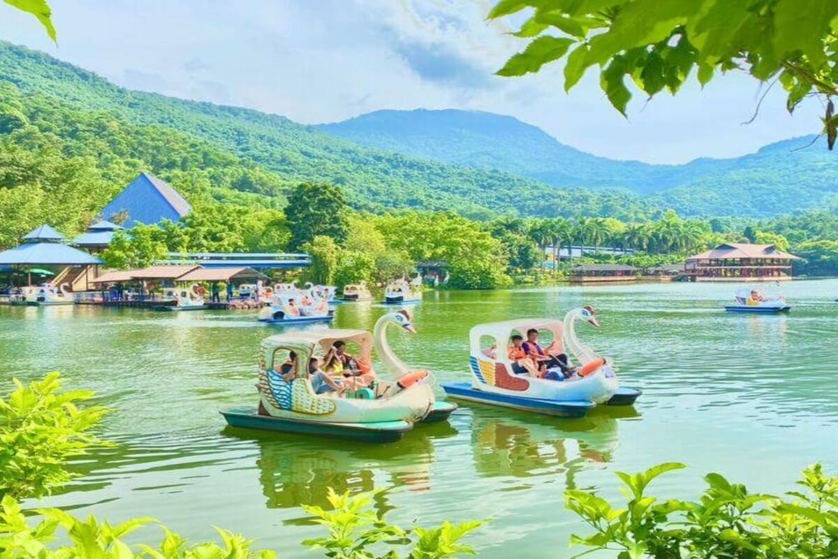 Câu cá và đạp thiên nga